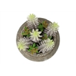 Artificial Plant - Set Of 2 - 8