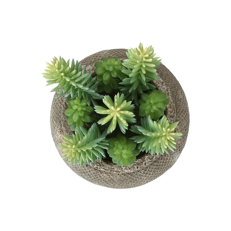 Artificial Plant - Set Of 2 - 8