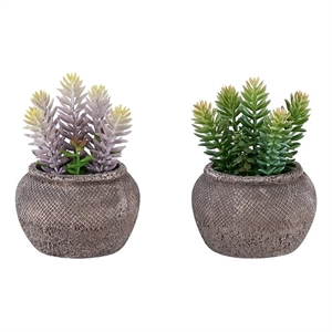 Artificial Plant - Set Of 2 - 8&quot Tall - Succulent - Table - Brown Cement Pots