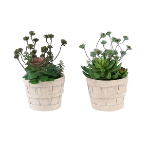 Artificial Plant - Set Of 2 - 9&quot Tall - Succulent - Table - Beige Cement Pots