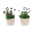 Artificial Plant - Set Of 2 - 9