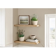 Artificial Plant - Set Of 2 - 9