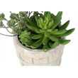 Artificial Plant - Set Of 2 - 9
