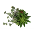 Artificial Plant - Set Of 2 - 9