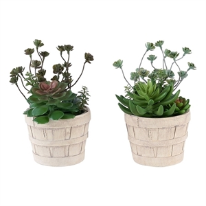 Artificial Plant - Set Of 2 - 9&quot Tall - Succulent - Table - Beige Cement Pots