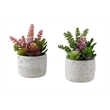 Artificial Plant - Set Of 2 - 9