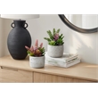 Artificial Plant - Set Of 2 - 9