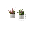 Artificial Plant - Set Of 2 - 9