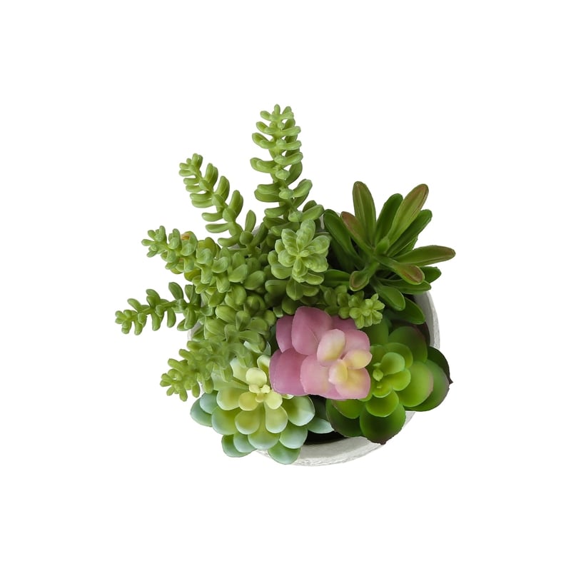 Artificial Plant - Set Of 2 - 9