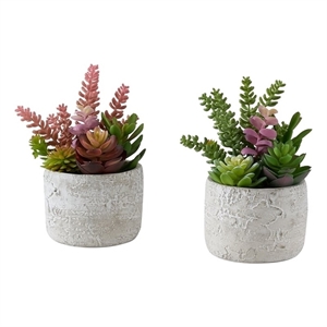 Artificial Plant - Set Of 2 - 9&quot Tall - Succulent - Table - Gray Cement Pots