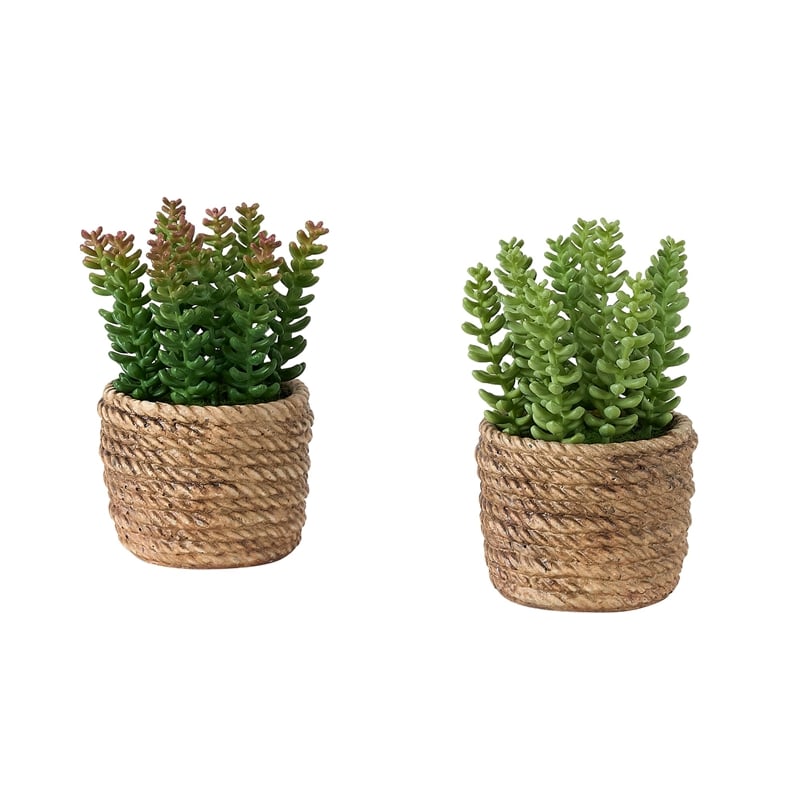 Artificial Plant - Set Of 2 - 7
