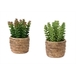 Artificial Plant - Set Of 2 - 7