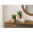 Artificial Plant - Set Of 2 - 7