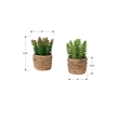 Artificial Plant - Set Of 2 - 7