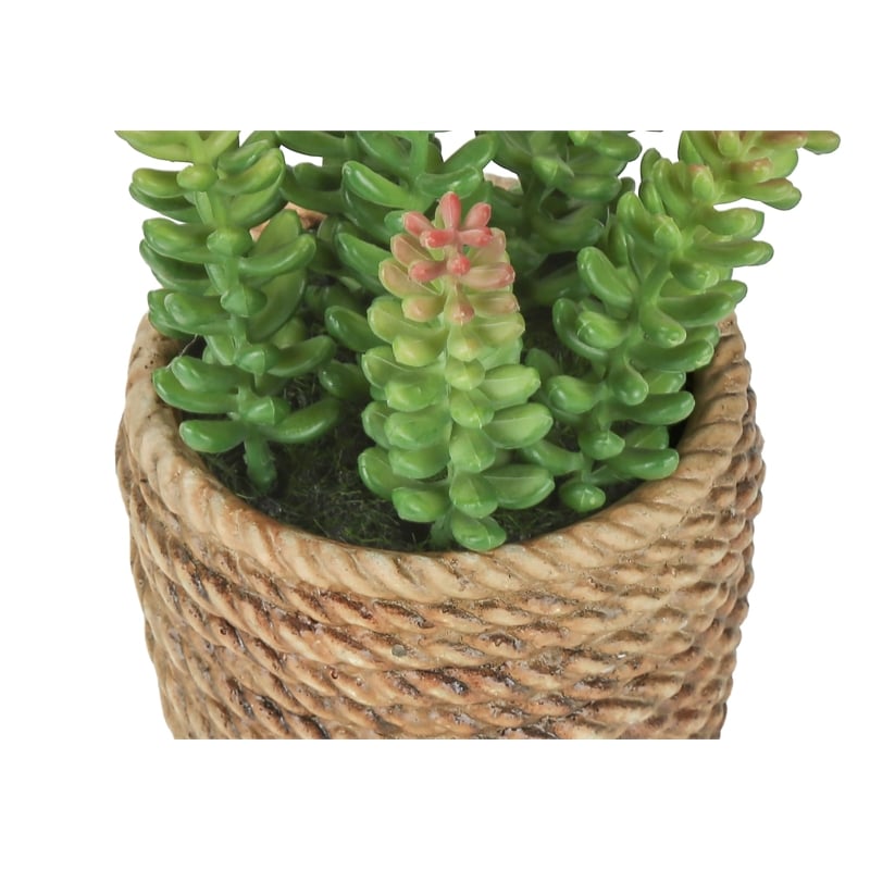 Artificial Plant - Set Of 2 - 7