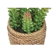 Artificial Plant - Set Of 2 - 7