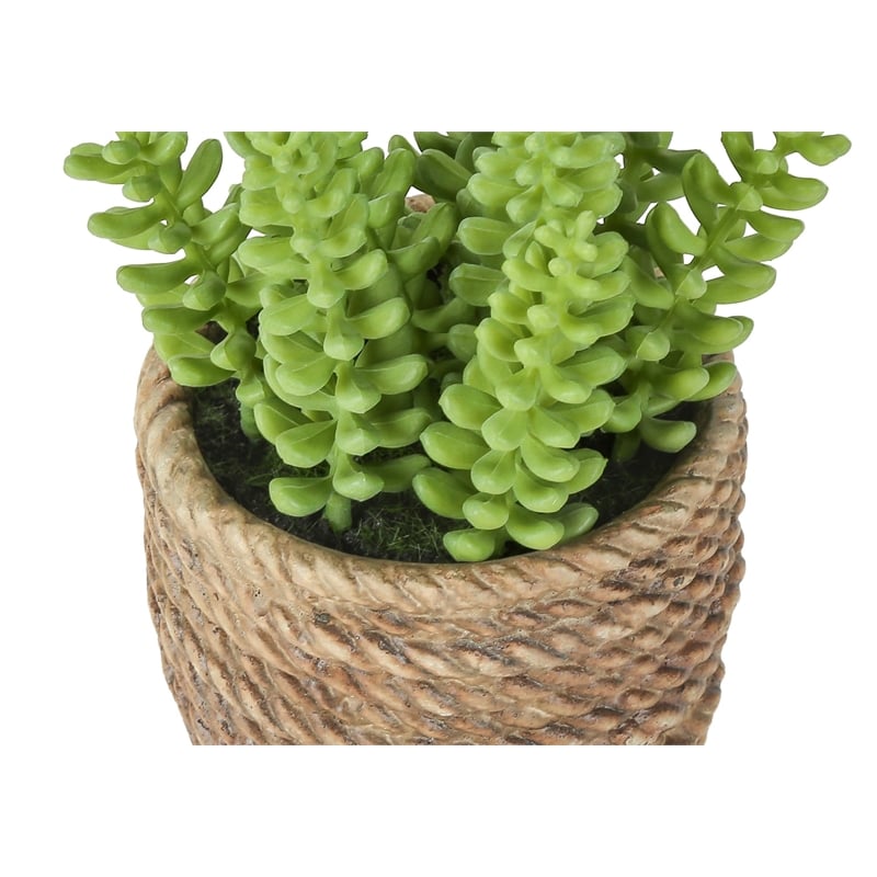 Artificial Plant - Set Of 2 - 7