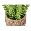 Artificial Plant - Set Of 2 - 7