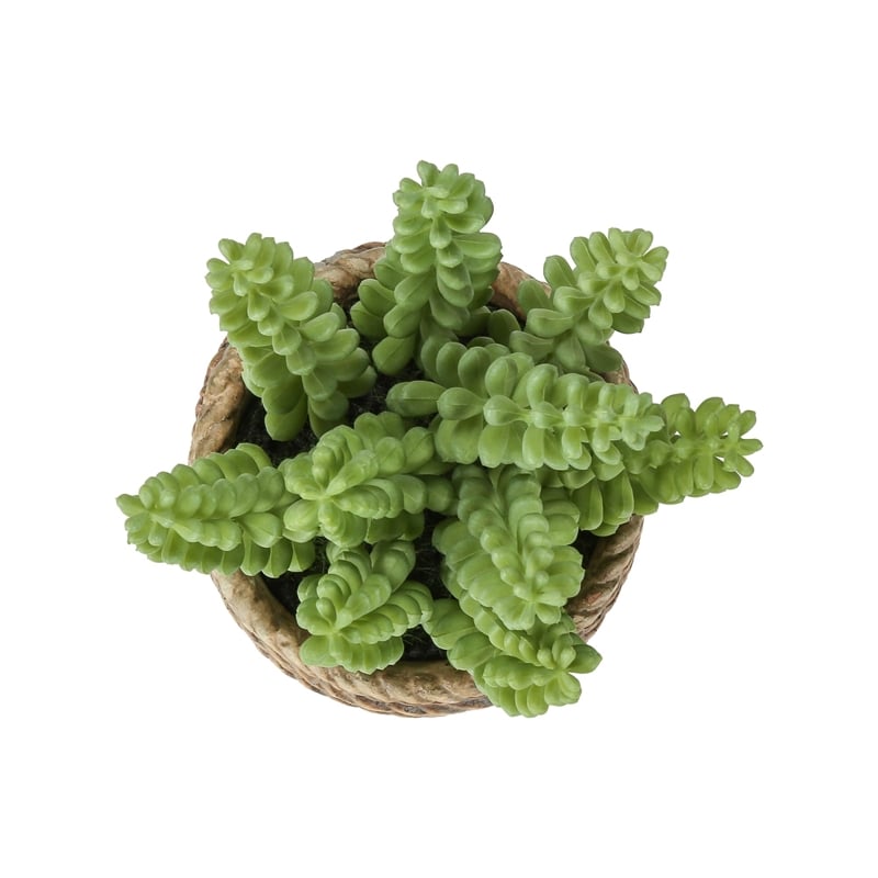 Artificial Plant - Set Of 2 - 7