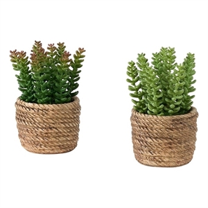 Artificial Plant - Set Of 2 - 7&quot Tall - Succulent - Table - Brown Cement Pots