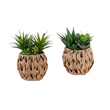 Artificial Plant - Set Of 2 - 9