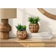 Artificial Plant - Set Of 2 - 9