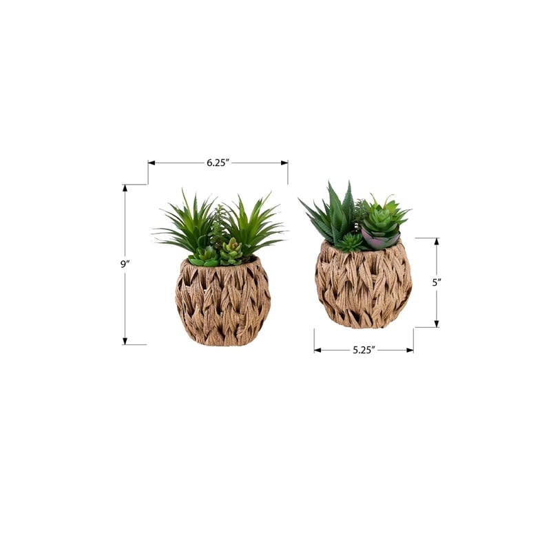 Artificial Plant - Set Of 2 - 9