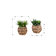 Artificial Plant - Set Of 2 - 9