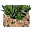 Artificial Plant - Set Of 2 - 9