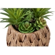 Artificial Plant - Set Of 2 - 9