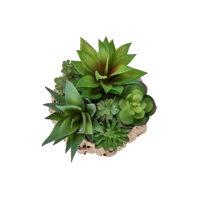 Artificial Plant - Set Of 2 - 9