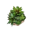 Artificial Plant - Set Of 2 - 9
