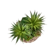 Artificial Plant - Set Of 2 - 9