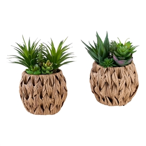 Artificial Plant - Set Of 2 - 9&quot Tall - Plastic Succulent - Brown Woven Basket