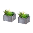 Artificial Plant - Set Of 2 - 8