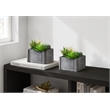 Artificial Plant - Set Of 2 - 8