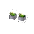 Artificial Plant - Set Of 2 - 8