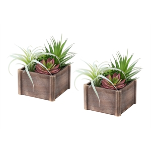 Artificial Plant - Set Of 2 - 10&quot Tall - Succulent - Table - Brown Wooden Pots