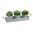 Artificial Plant - Set Of 3 - 6