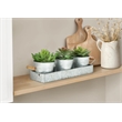Artificial Plant - Set Of 3 - 6