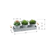 Artificial Plant - Set Of 3 - 6