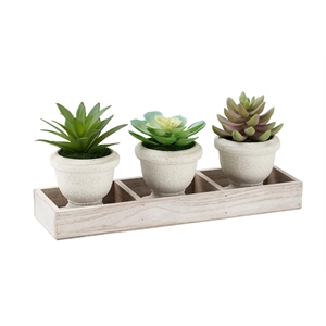 Artificial Plant - Set Of 3 - 6&quot Tall - Succulent - Table - Beige Wood Pots