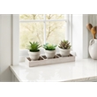 Artificial Plant - Set Of 3 - 6
