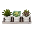Artificial Plant - Set Of 3 - 6