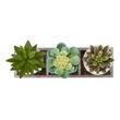 Artificial Plant - Set Of 3 - 6