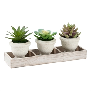 Artificial Plant - Set Of 3 - 6&quot Tall - Succulent - Table - Beige Wood Pots