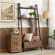 Boraam Wood Carlton Hall Tree in Natural and Black Finish
