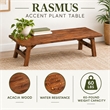 Rasmus Accent Plant Table - Chestnut Wire-Brush Finish