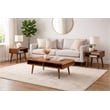 Boraam Zebra 3 Piece Dansk Occasional Table Set in Rich Walnut