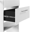 Carina Closet 24W Organizer with Shoe Shelves Rods Cubbies  - Engineered Wood